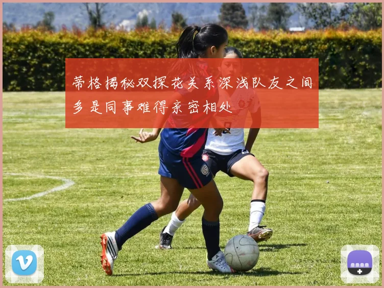 蒂格揭秘双探花关系深浅队友之间多是同事难得亲密相处